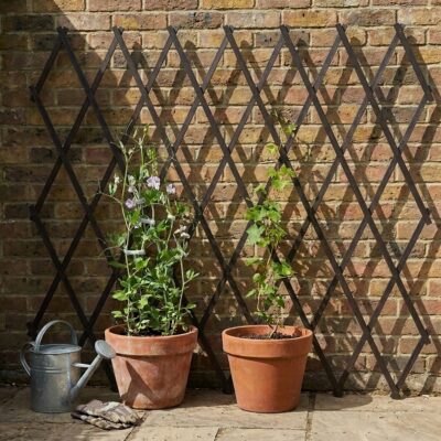 Wooden planks creating a clear climbing path for plants