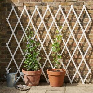 Wooden climbing trellis providing plants a clear path upward