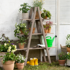 Wooden shelf display showing outlet store home goods