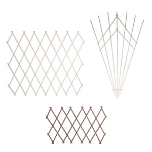 Flower Trellises and Plant Support